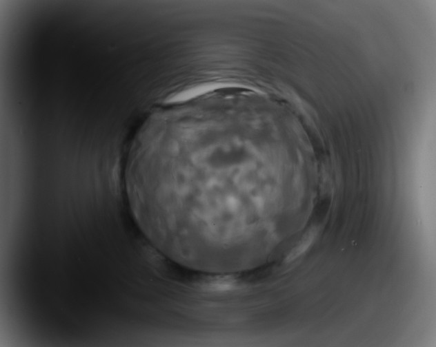 X0000087610377200705181259