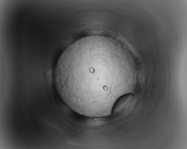 X0000087610378200705181259