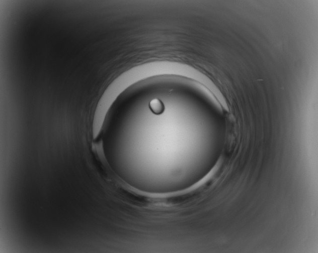 X0000087610380200705181259