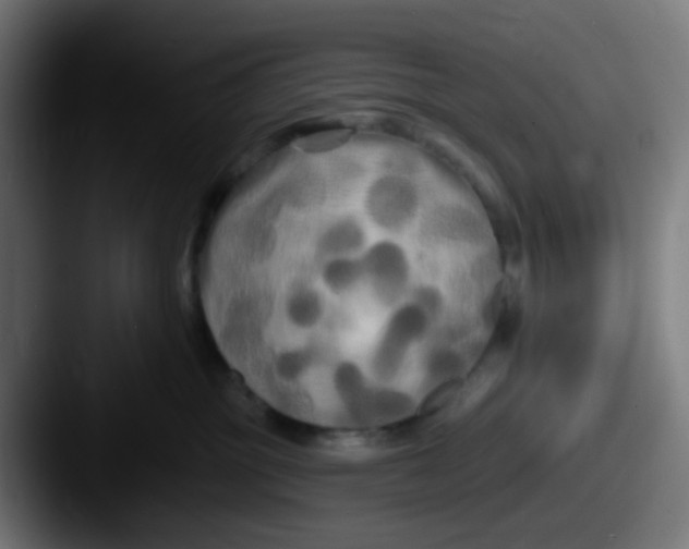 X0000087610381200705181259