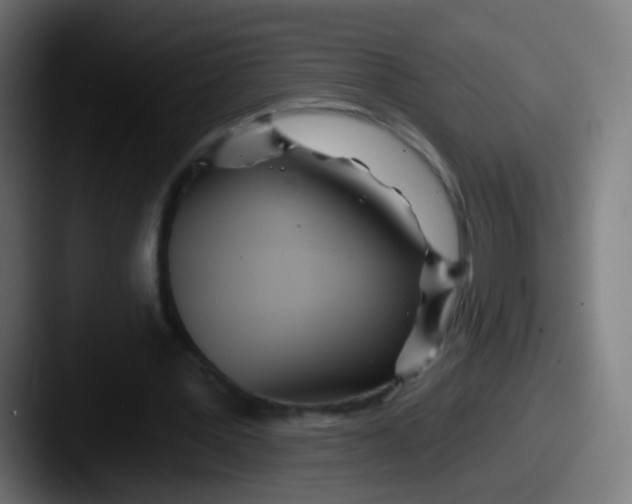 X0000087610387200705181259