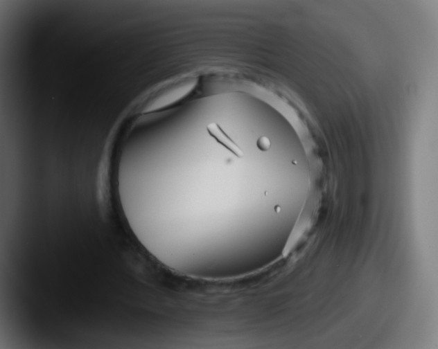 X0000087610388200705181259