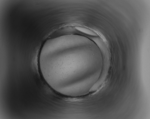 X0000087610389200705181259