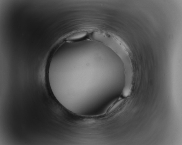 X0000087610391200705181259