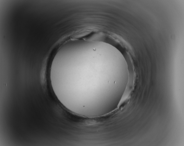 X0000087610392200705181259