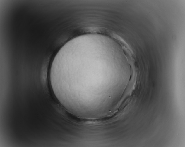 X0000087610394200705181259