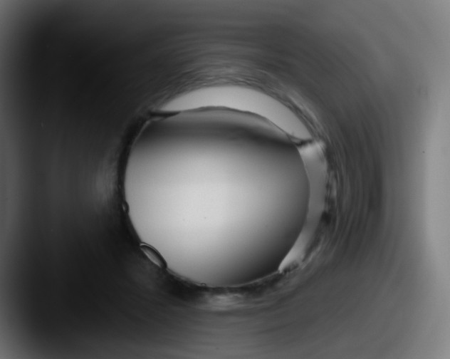 X0000087610407200705181259