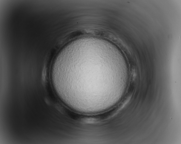 X0000087610408200705181259