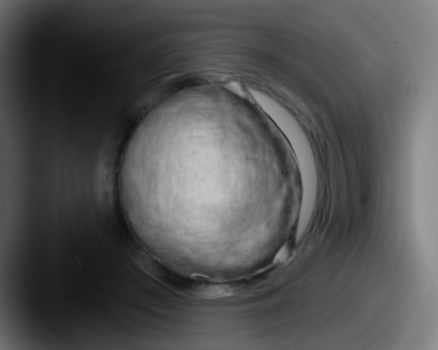 X0000087610409200705181259