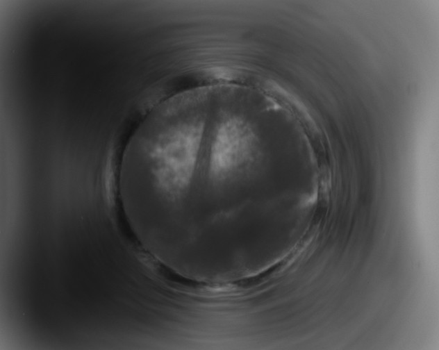 X0000087610410200705181259