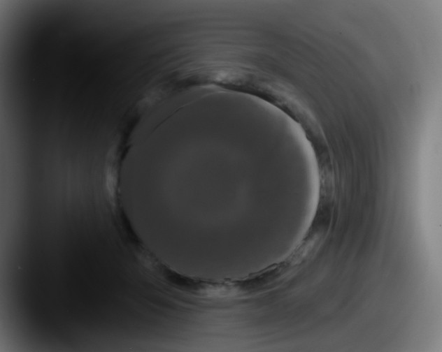 X0000087610415200705181258