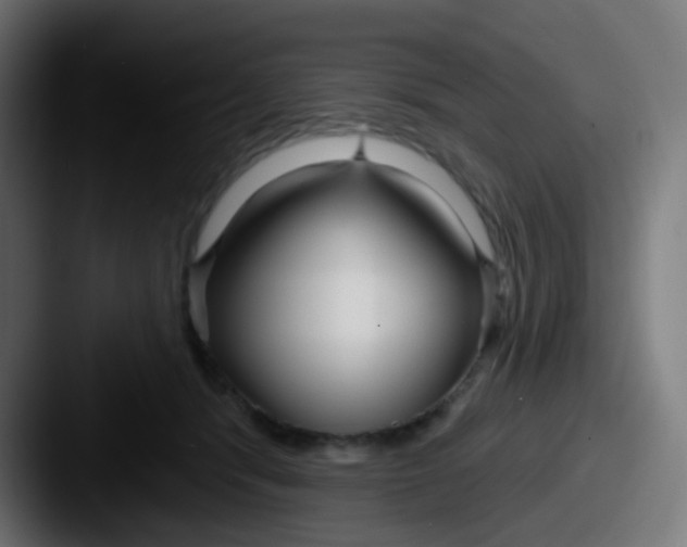 X0000087610416200705181258