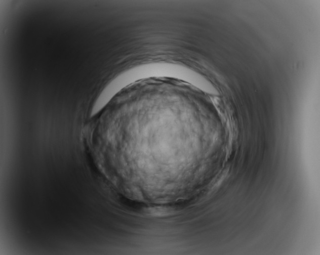 X0000087610417200705181258