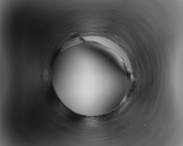 X0000087610425200705181258