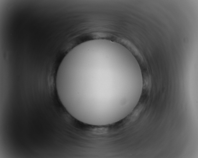 X0000087610426200705181258