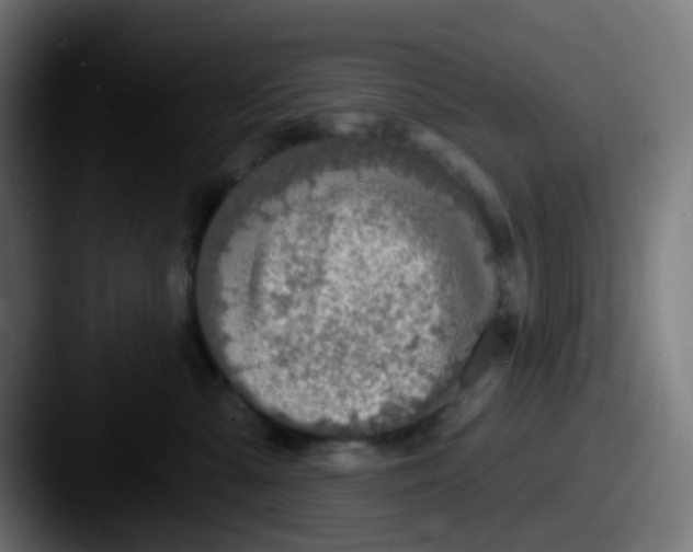 X0000087610427200705181258