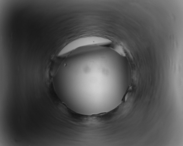 X0000087610428200705181258