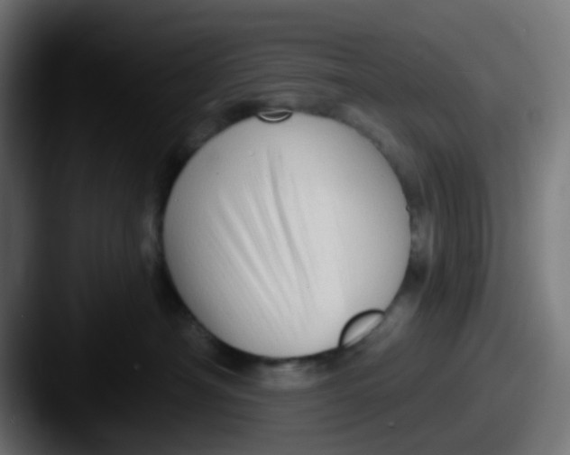 X0000087610430200705181258