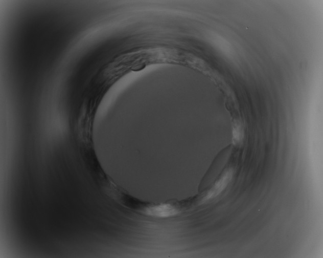 X0000087610431200705181258