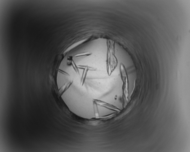 X0000087610432200705181258