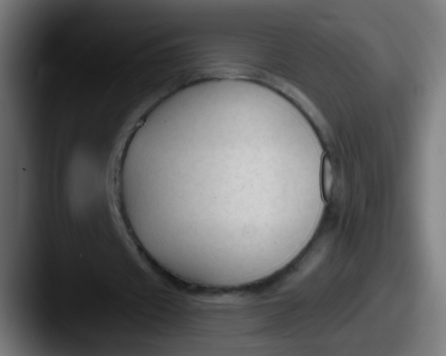 X0000087610433200705181258