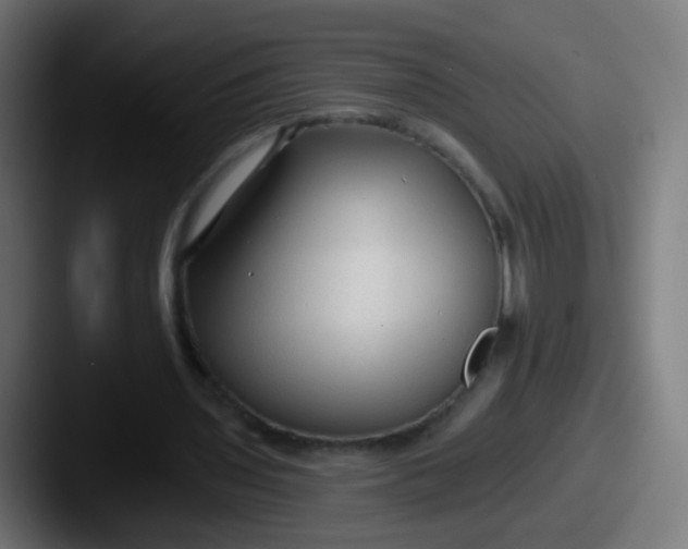 X0000087610435200705181258