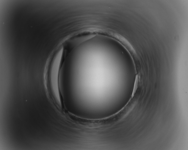 X0000087610436200705181258