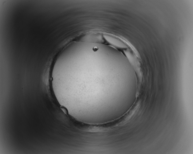 X0000087610437200705181258