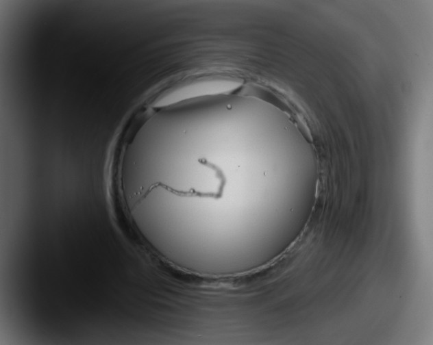 X0000087610440200705181258