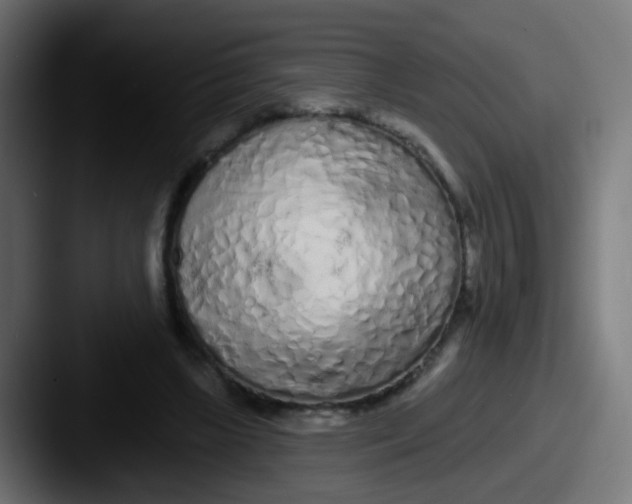 X0000087610443200705181258