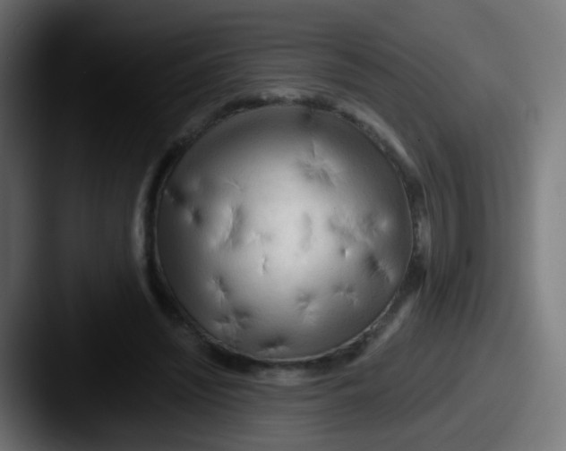 X0000087610444200705181258