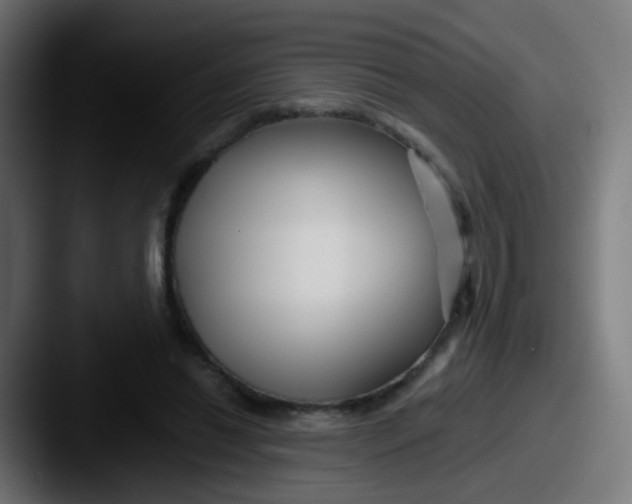 X0000087610446200705181258