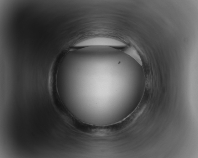 X0000087610448200705181258