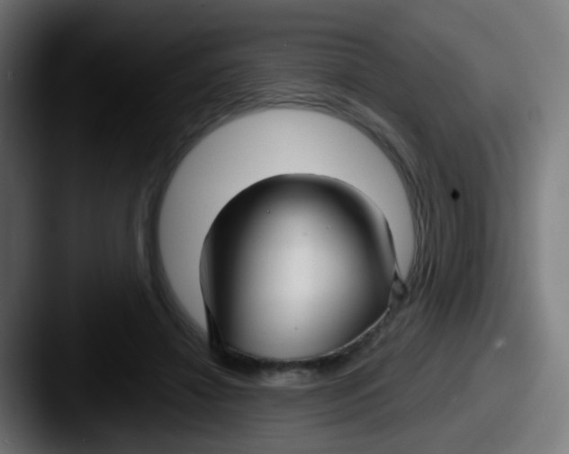 X0000087610452200705181258