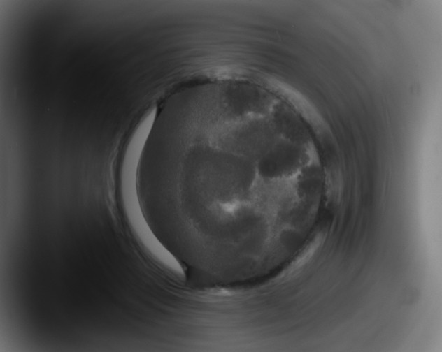 X0000087610453200705181258