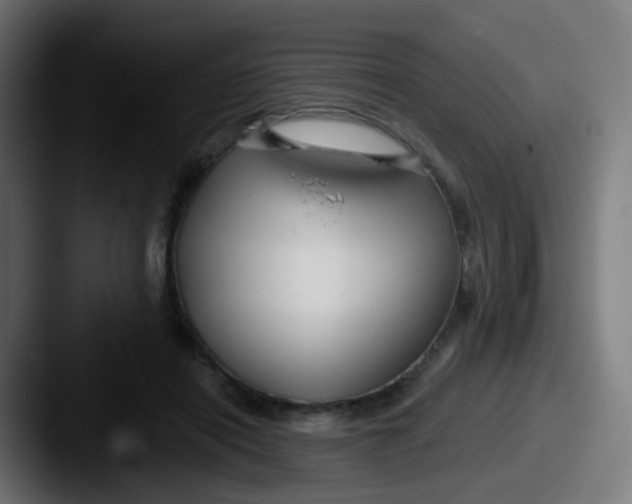 X0000087610454200705181258