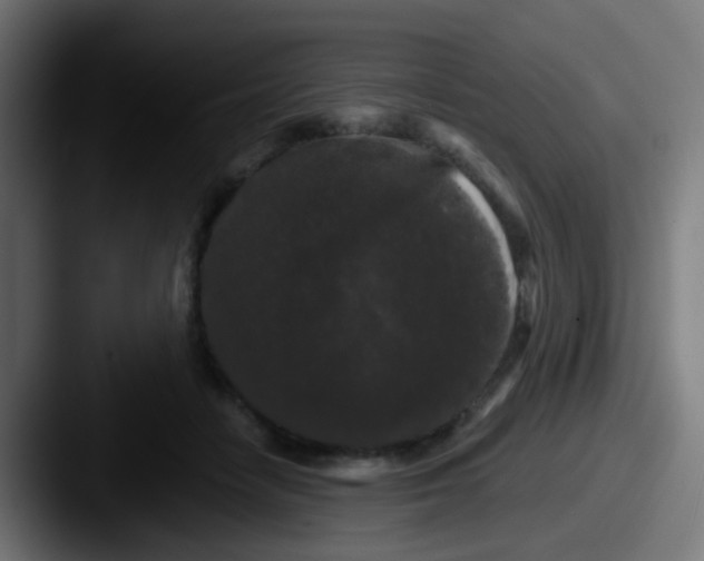 X0000087610458200705181258