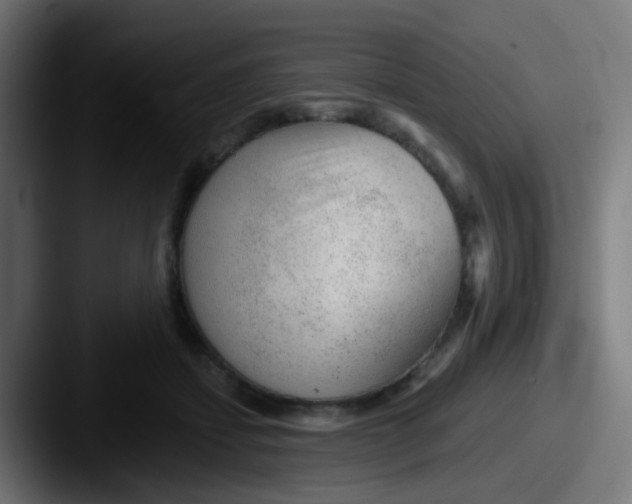 X0000087610459200705181258