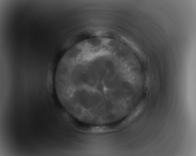 X0000087610461200705181258