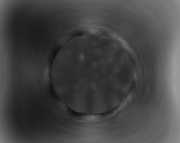 X0000087610465200705181258