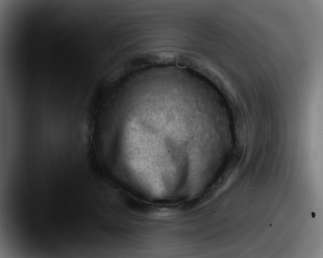 X0000087610467200705181258