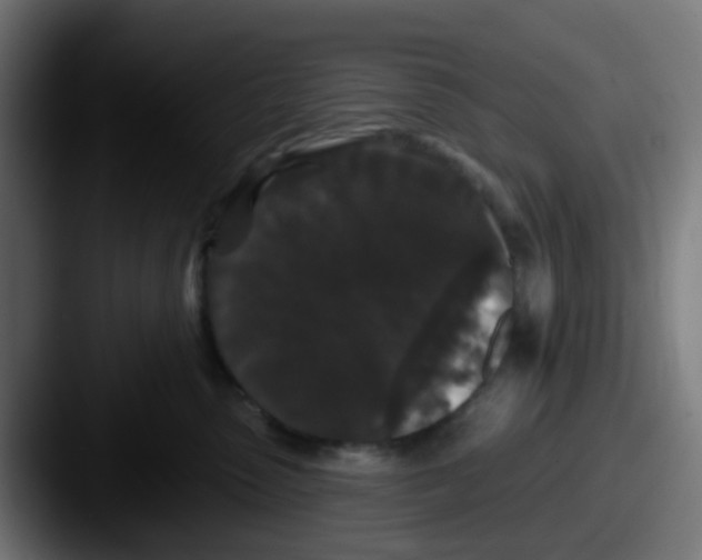 X0000087610475200705181258