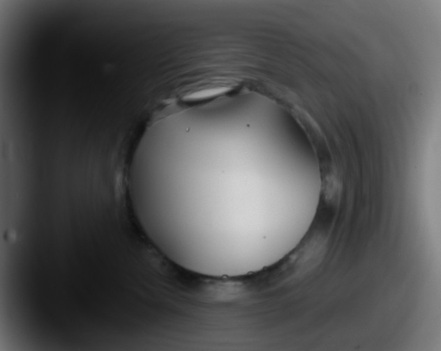 X0000087610476200705181258