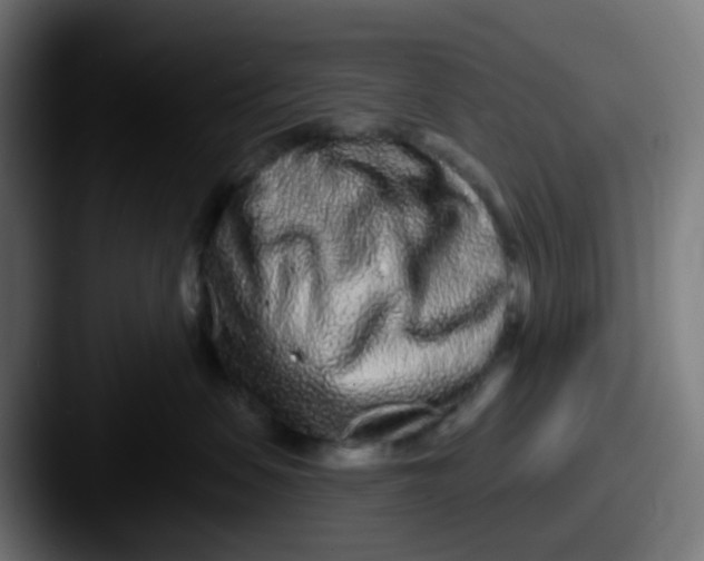 X0000087610479200705181258