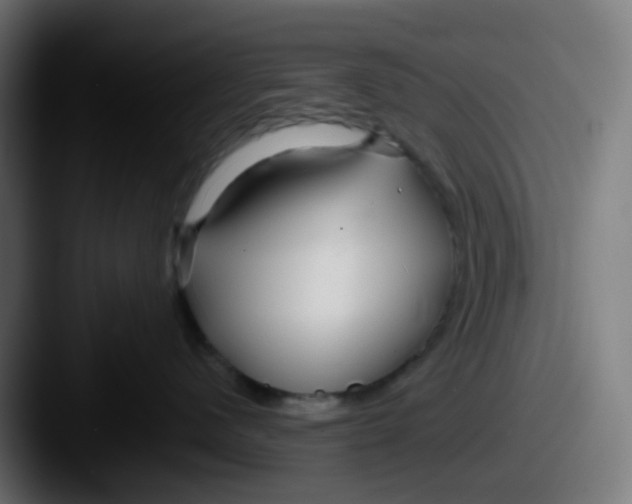 X0000087610480200705181258