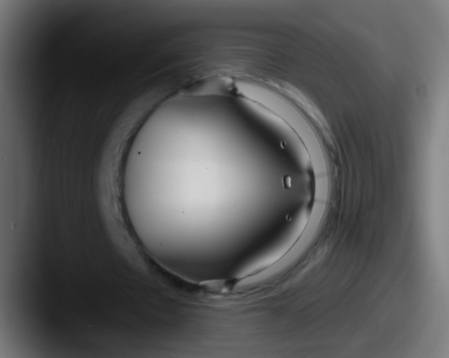 X0000087610481200705181258