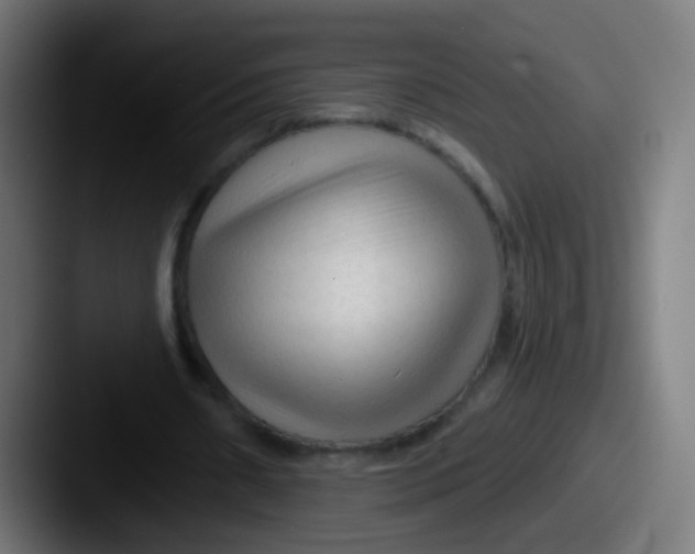 X0000087610482200705181258