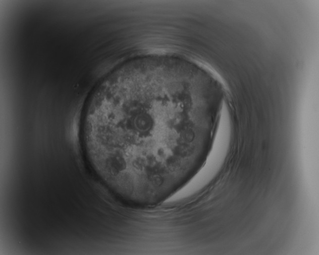 X0000087610483200705181258