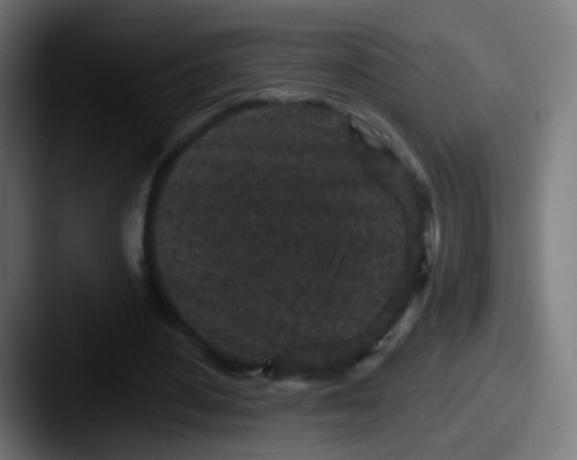 X0000087610484200705181258