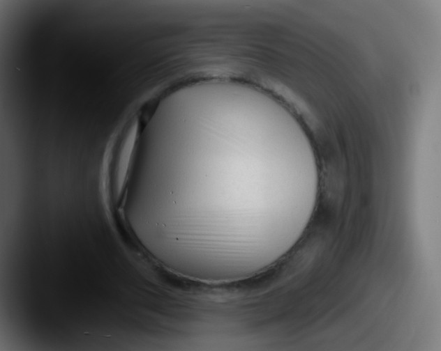 X0000087610486200705181258